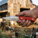 Rooster knife in hand