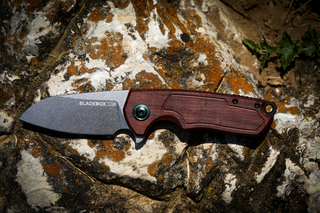 Mountaineer